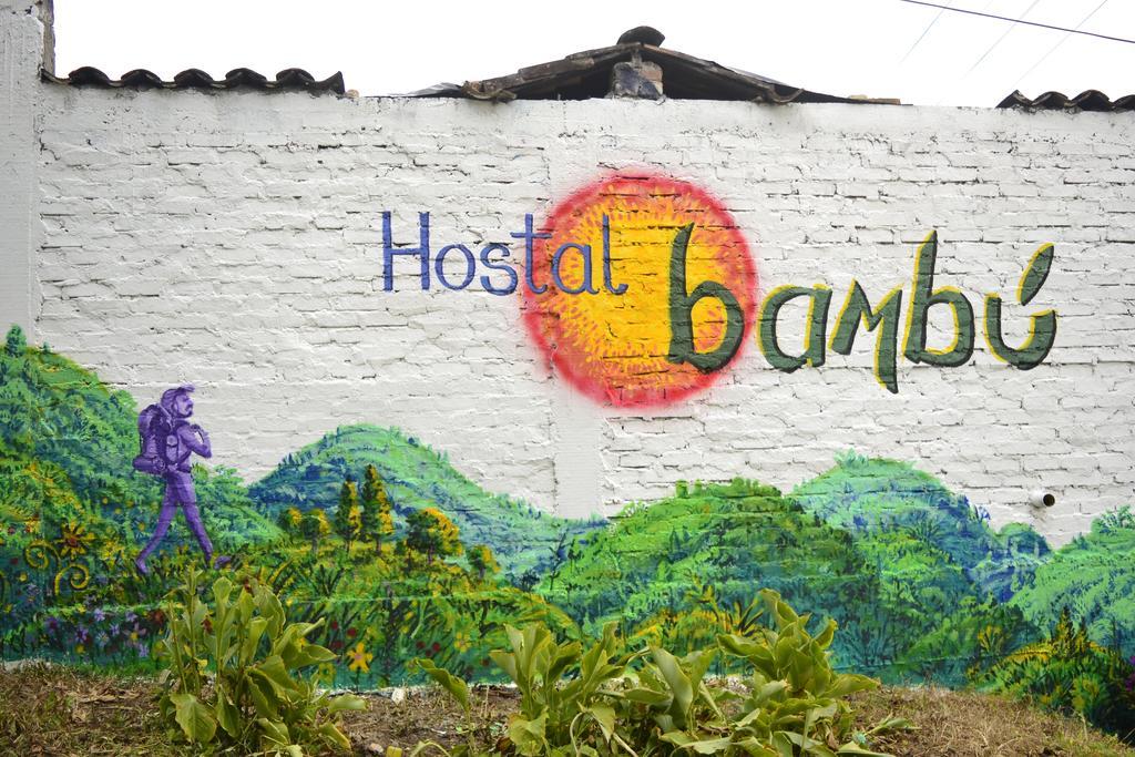 Bambu *